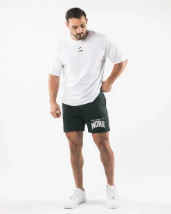 LDB More Mesh Short 6"